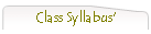 Class Syllabus'