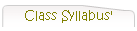 Class Syllabus'