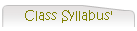 Class Syllabus'