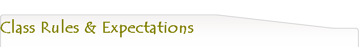 Class Rules & Expectations