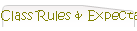 Class Rules & Expectations